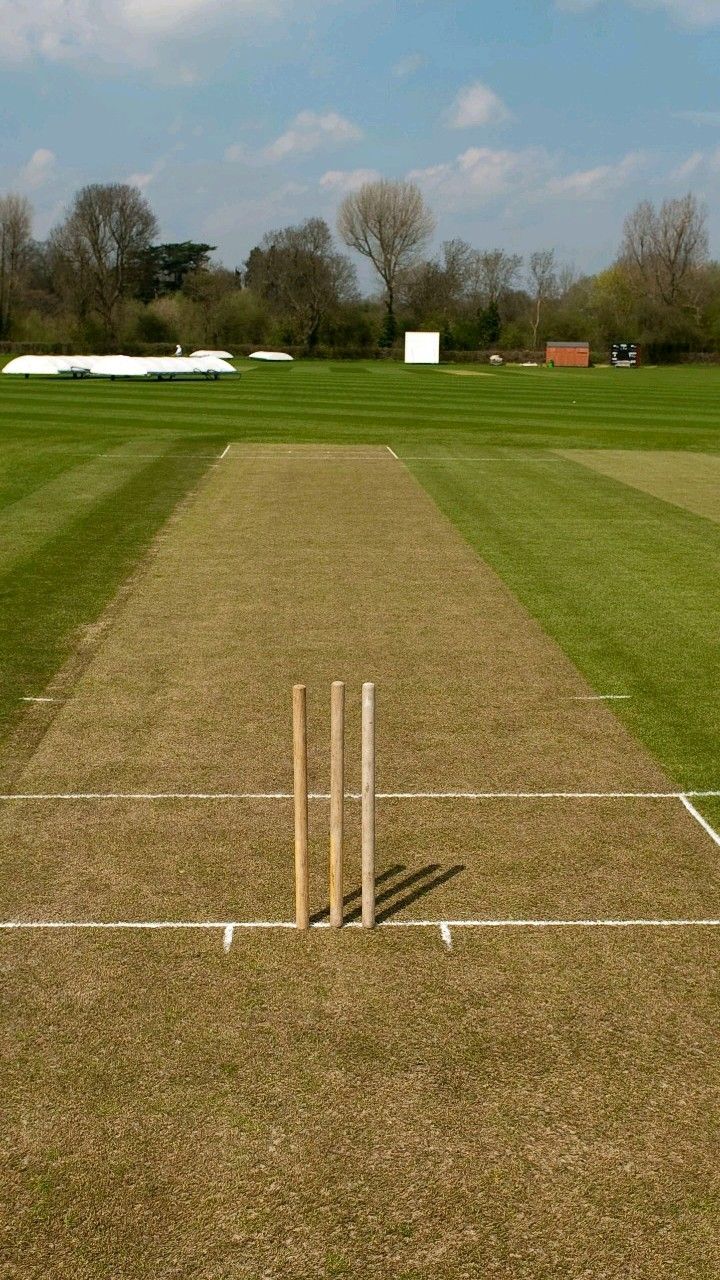 Turf Cricket Pitch