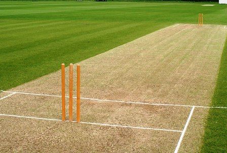 Synthetic Cricket Pitch