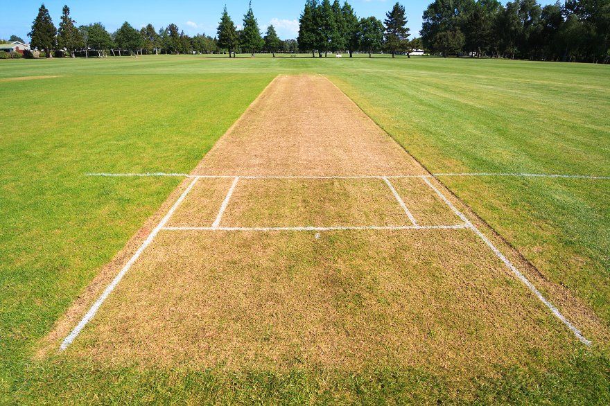 Cricket Match on Turf Pitch
