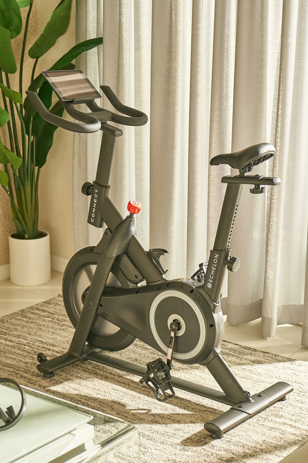 Exercise Cycle
